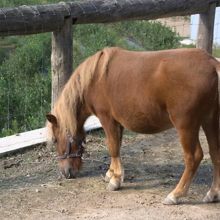 Nyaraló Quinta Dos Lagos