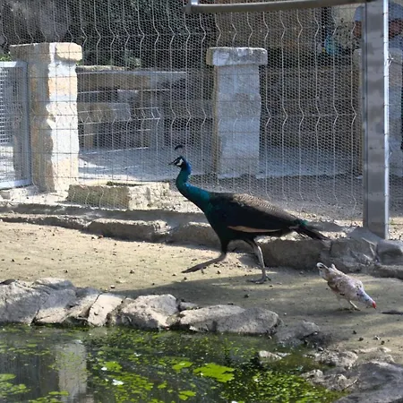 Quinta Dos Lagos Marco de Canavezes