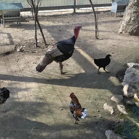 Quinta Dos Lagos Сasa de vacaciones *