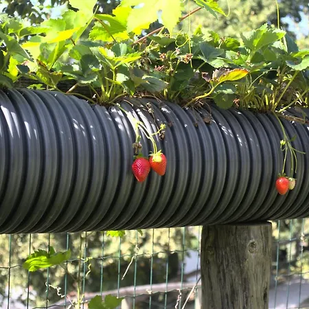 Prázdninový dům Quinta Dos Lagos