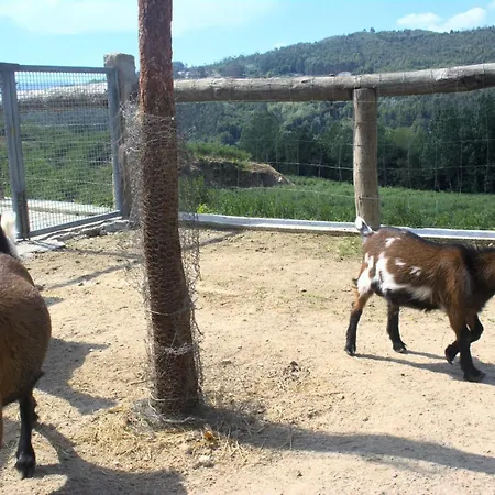 Tatil Evi Quinta Dos Lagos *
