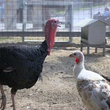 Quinta Dos Lagos Сasa de vacaciones Marco de Canavezes