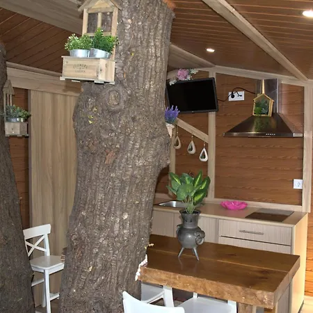 Quinta Dos Lagos Сasa de vacaciones Marco de Canavezes