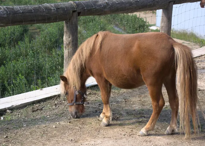 Dom wakacyjny Quinta Dos Lagos