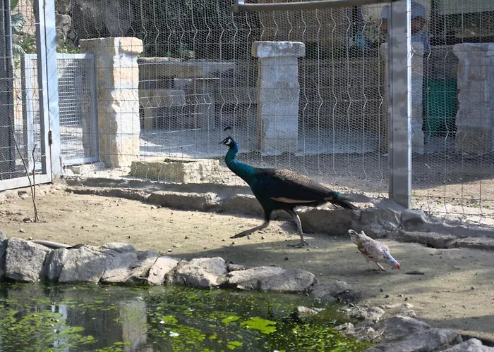 Quinta Dos Lagos Marco de Canavezes