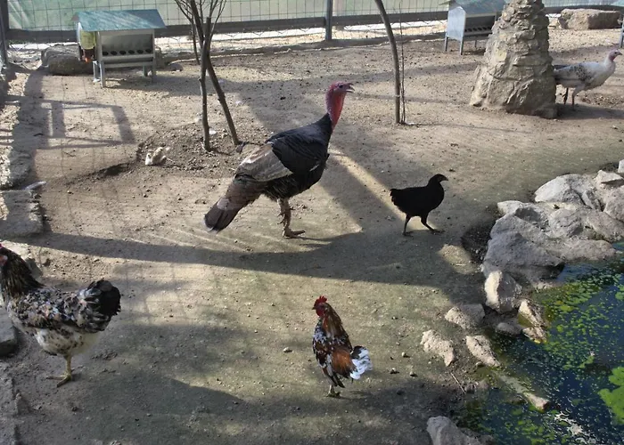 Quinta Dos Lagos Dom wakacyjny *