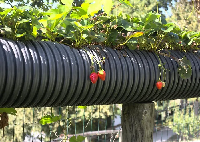 Сasa de vacaciones Quinta Dos Lagos