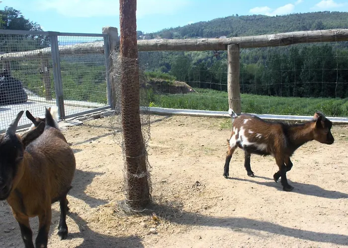 Сasa de vacaciones Quinta Dos Lagos *