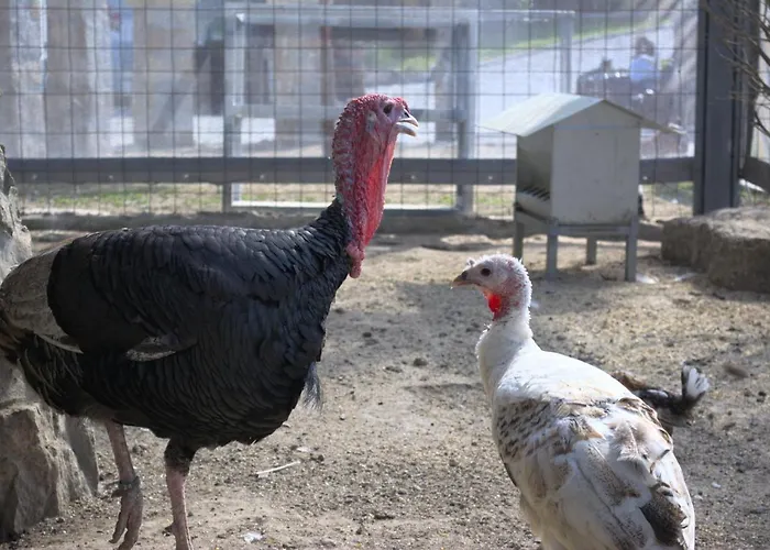Quinta Dos Lagos Dom wakacyjny Marco de Canavezes